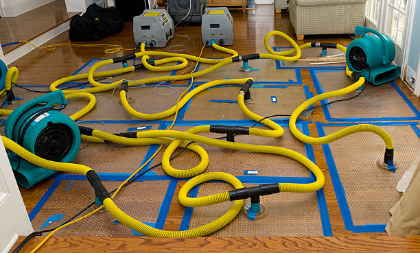 Professional Crawl Space Water Removal technician working in Upton, NY